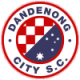 Dandenong City SC U21